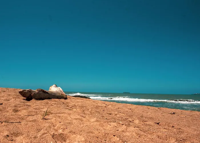 Vista Inesquecivel Para O Mar Homeclub Betocarrero